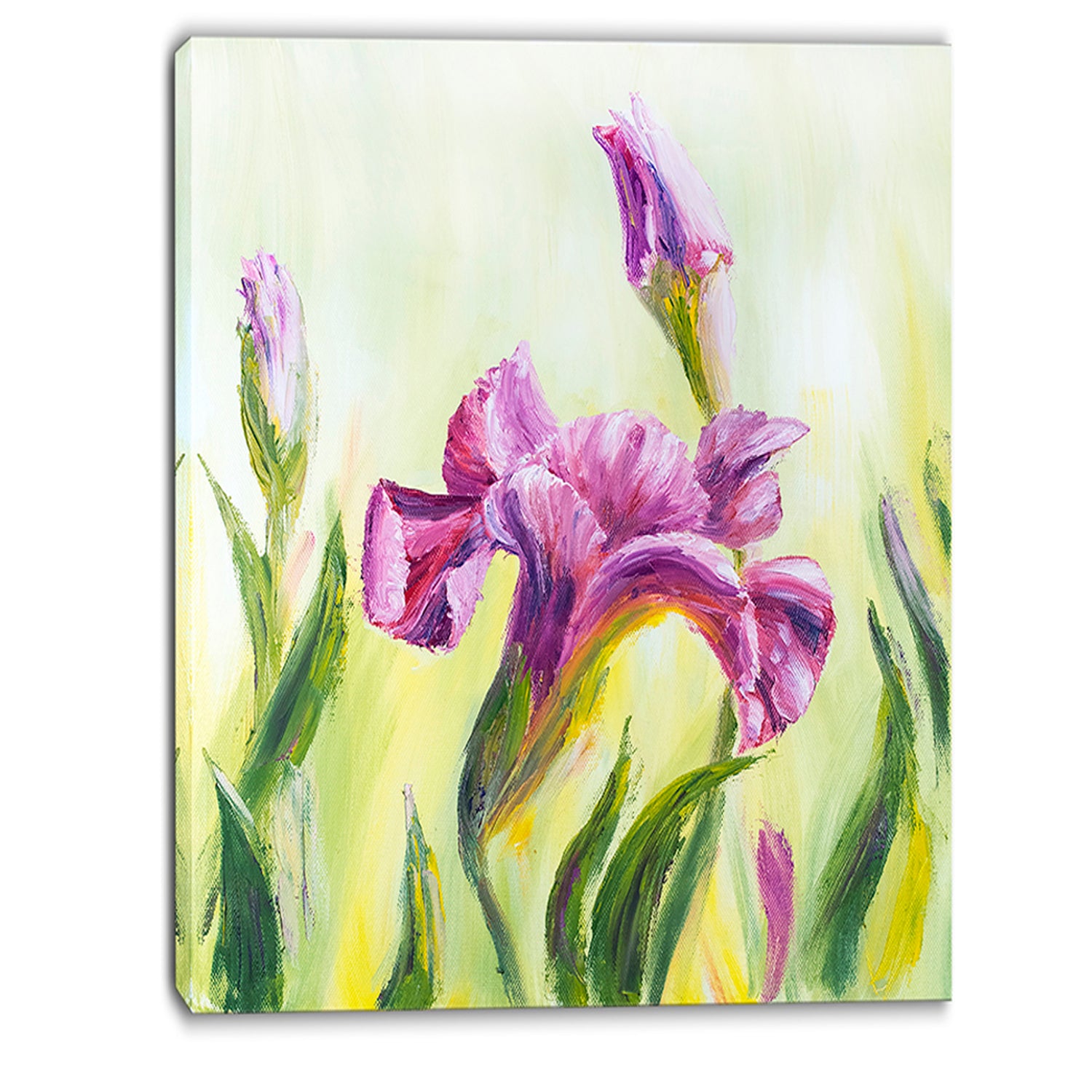Dancing Irises - Floral Canvas Art Print