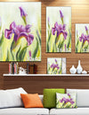 Dancing Irises - Floral Canvas Art Print