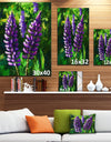 Lupin Flowers - Floral Canvas Art Print