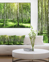 Beautiful Birch Grove - Landscape Canvas Art Print