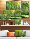 Beautiful Birch Grove - Landscape Canvas Art Print