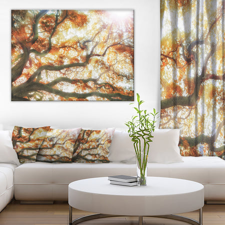 Big Tree - Photography Canvas Art Print