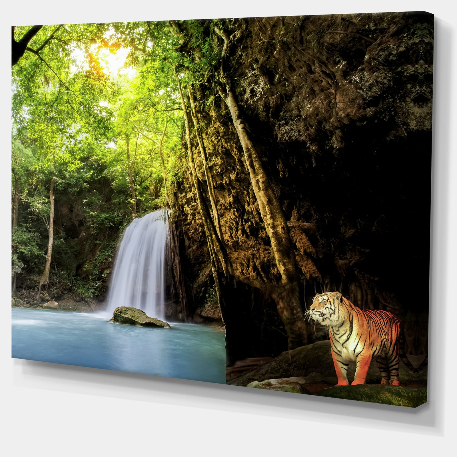 Tiger Watching Waterfall - Landscape Photography Canvas Print