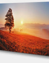 Tree and Sun - Landscape Photography Canvas Art Print