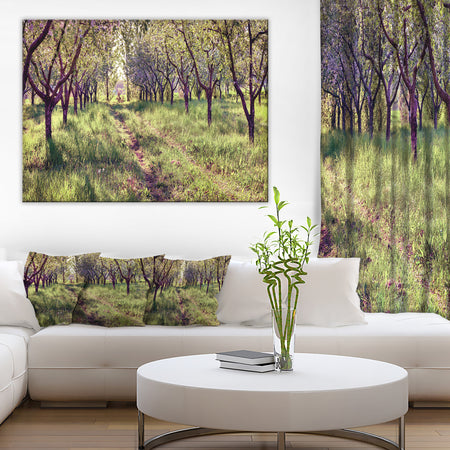 Blossom Apples Garden Photography Canvas Art Print
