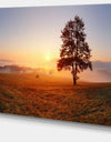 Lonely Tree at Sunset - Landscape Photography Canvas Print