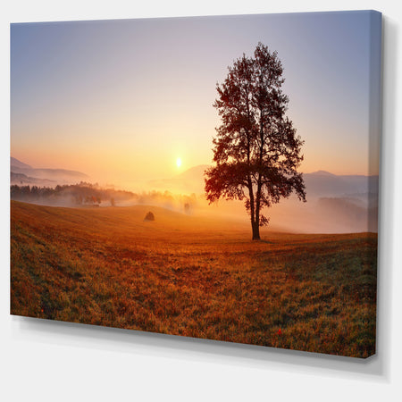 Lonely Tree at Sunset - Landscape Photography Canvas Print