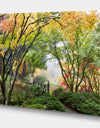 Maple Tree Canopy by Bridge Photography Canvas Print