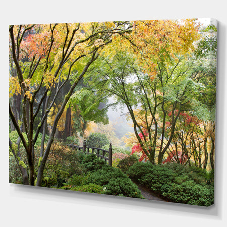 Maple Tree Canopy by Bridge Photography Canvas Print