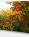 Colorful Maple Trees - Floral Photography Canvas Print