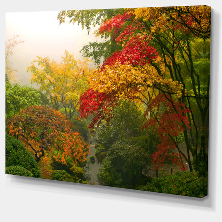 Colorful Maple Trees - Floral Photography Canvas Print