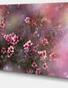 Sakura Japanese Cherry - Photography Floral Canvas Print