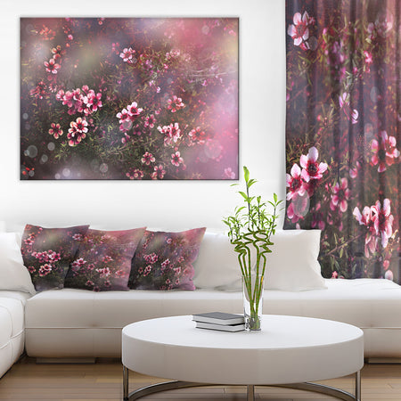 Sakura Japanese Cherry - Photography Floral Canvas Print