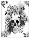 Peony Watercolor Skull - Digital Canvas Art Print