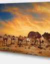 Camels in Wadi Rum Photography Canvas Art Print