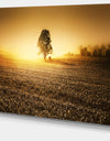 Farmland Panorama - Landscape Photography Canvas Art Print