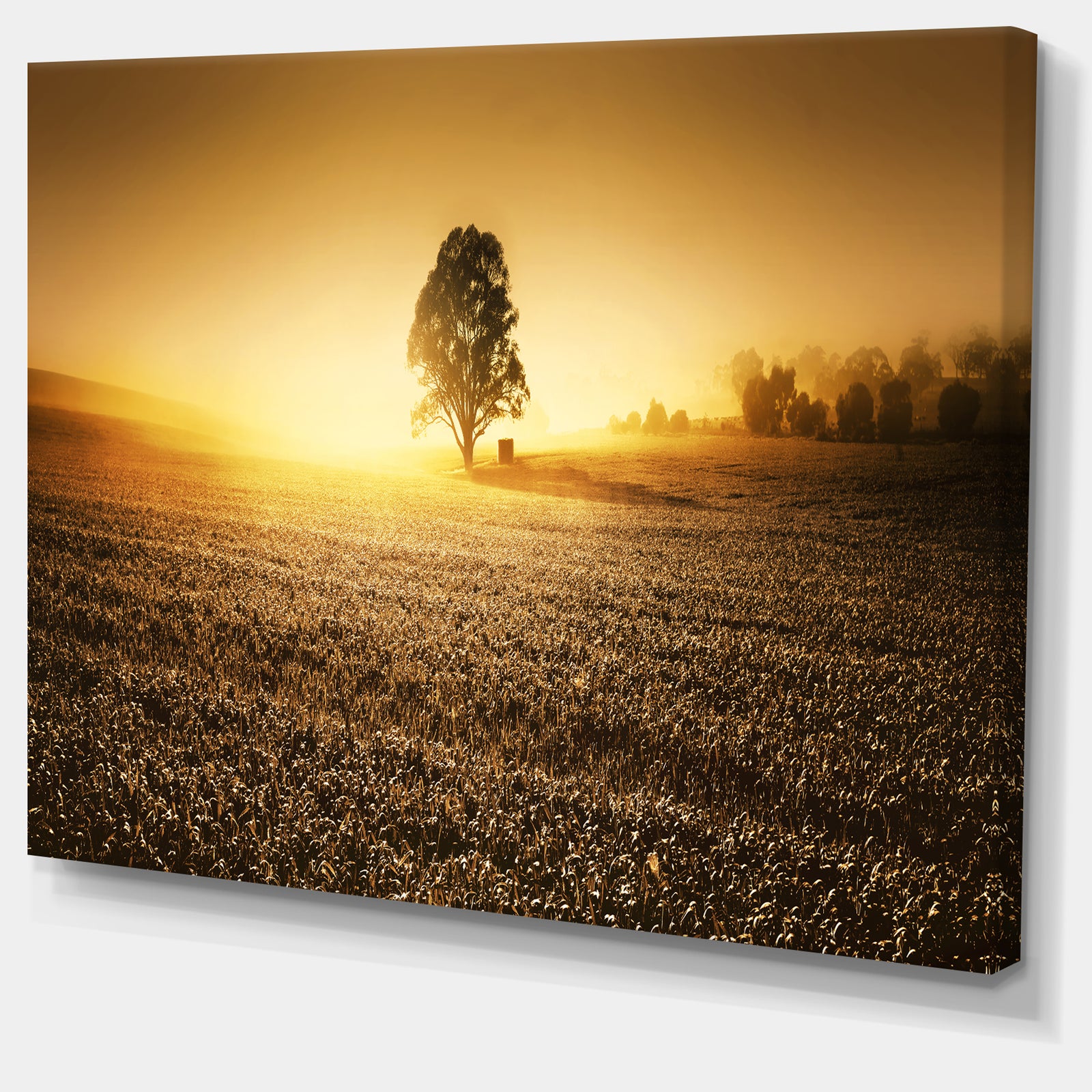 Farmland Panorama - Landscape Photography Canvas Art Print