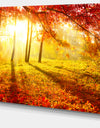 Autumnal Park - Landscape Photography Canvas Art Print