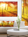 Autumnal Park - Landscape Photography Canvas Art Print