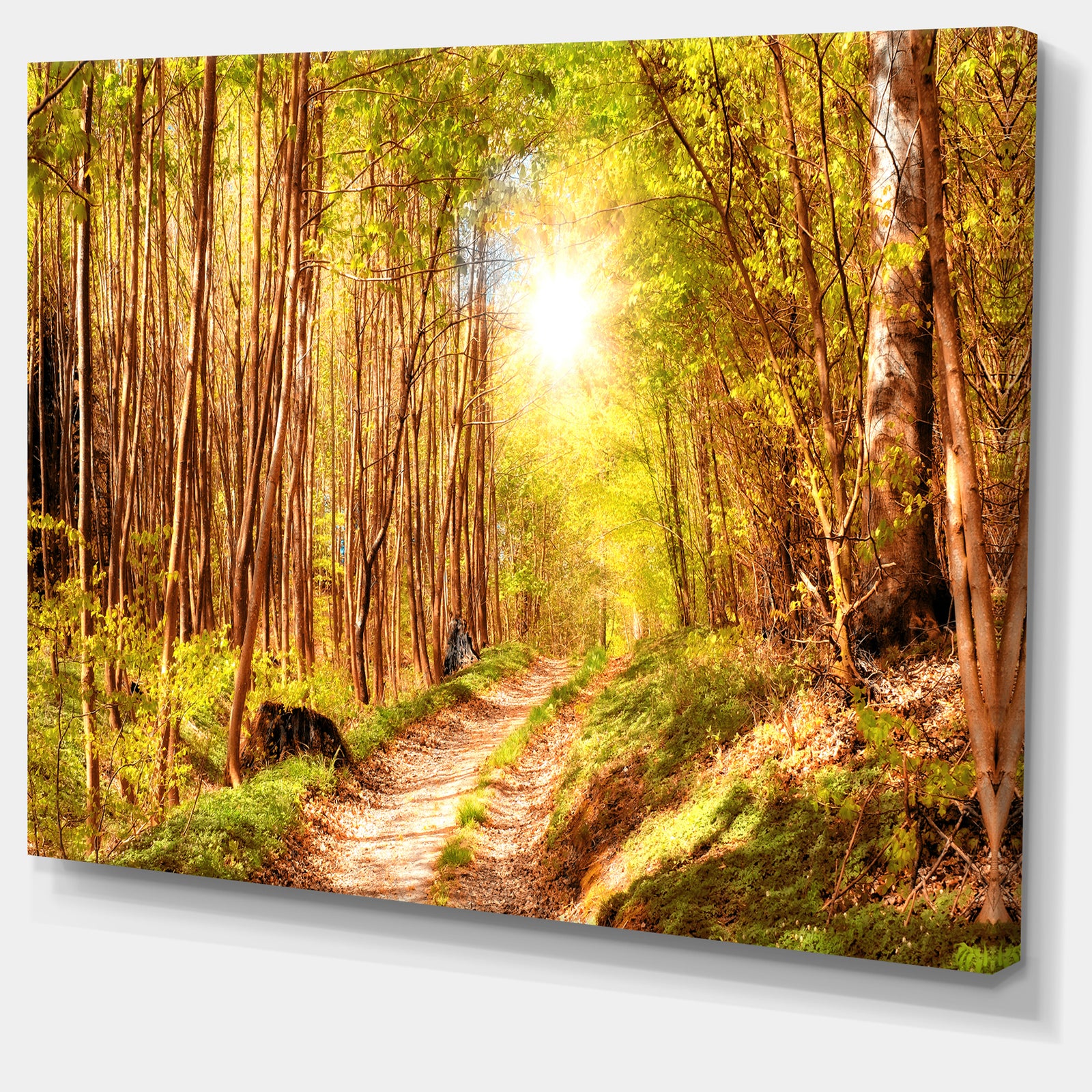 Autumn in Denmark Photo- Landscape Canvas Print