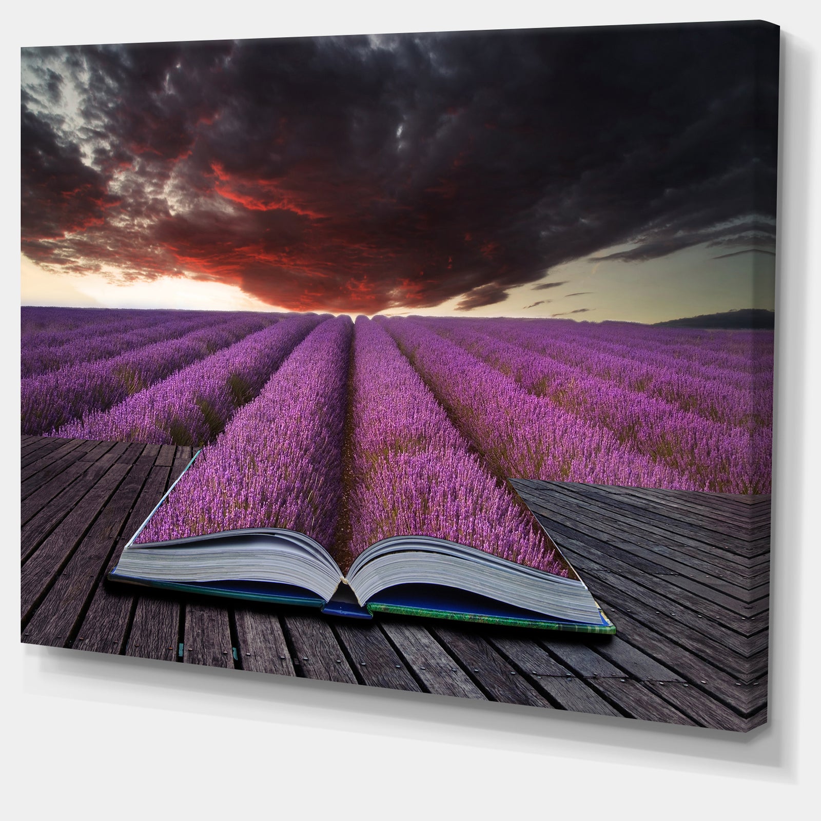 Book Open to Lavender Field Floral Canvas Art Print