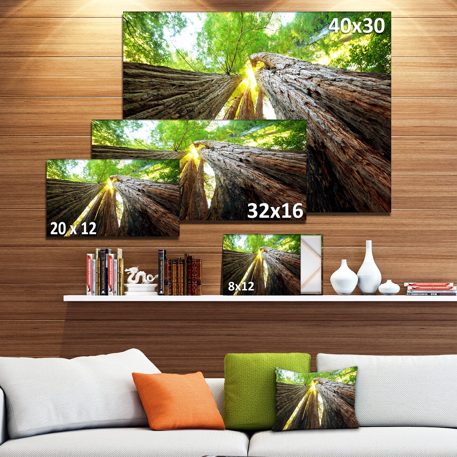 Sequoia Tree Photography Canvas Art Print