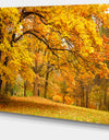 Golden Autumn Forest - Landscape Photo Canvas Print