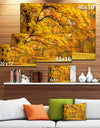Golden Autumn Forest - Landscape Photo Canvas Print