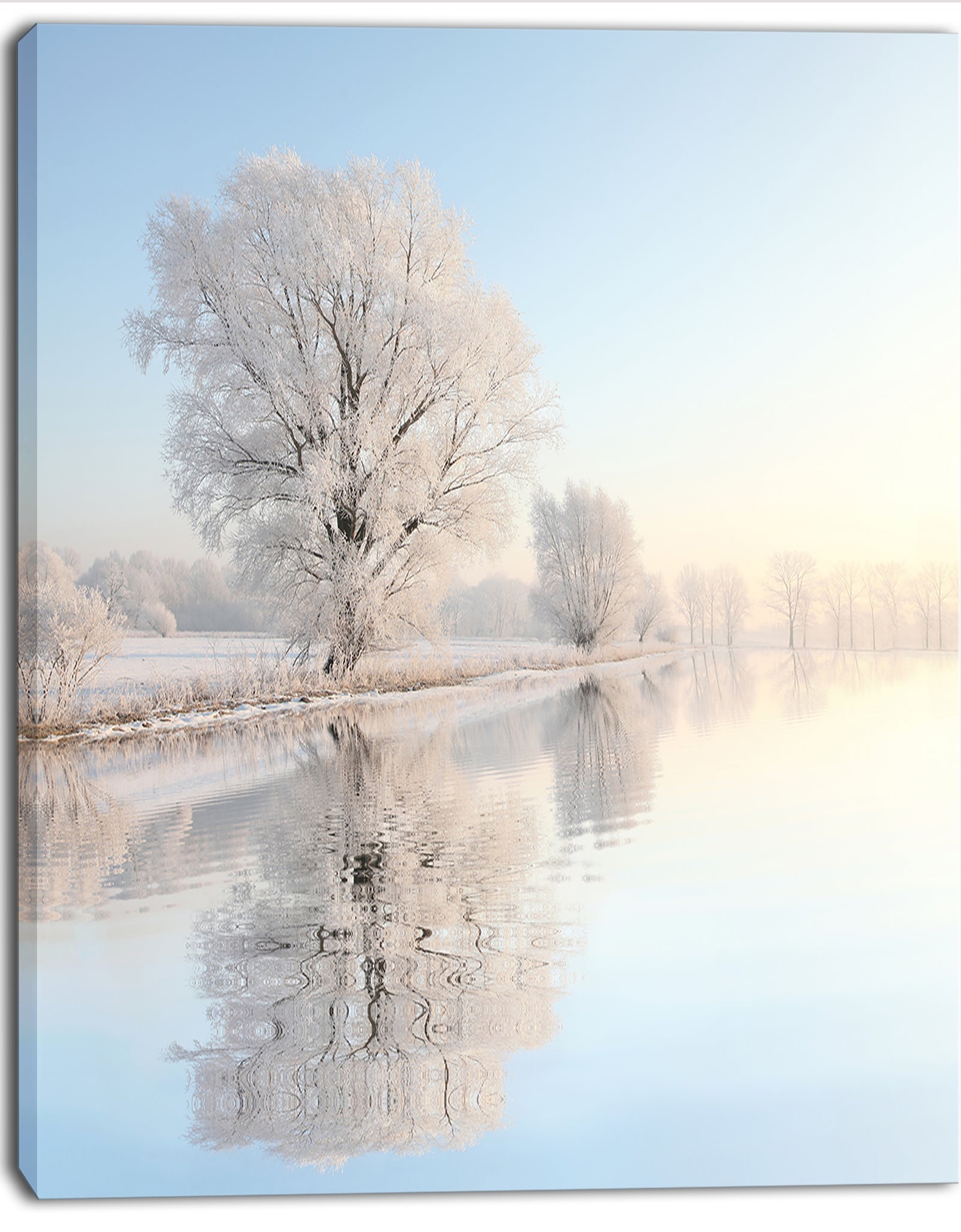 Frosty Winter Tree by Rising Photo Canvas Art Print