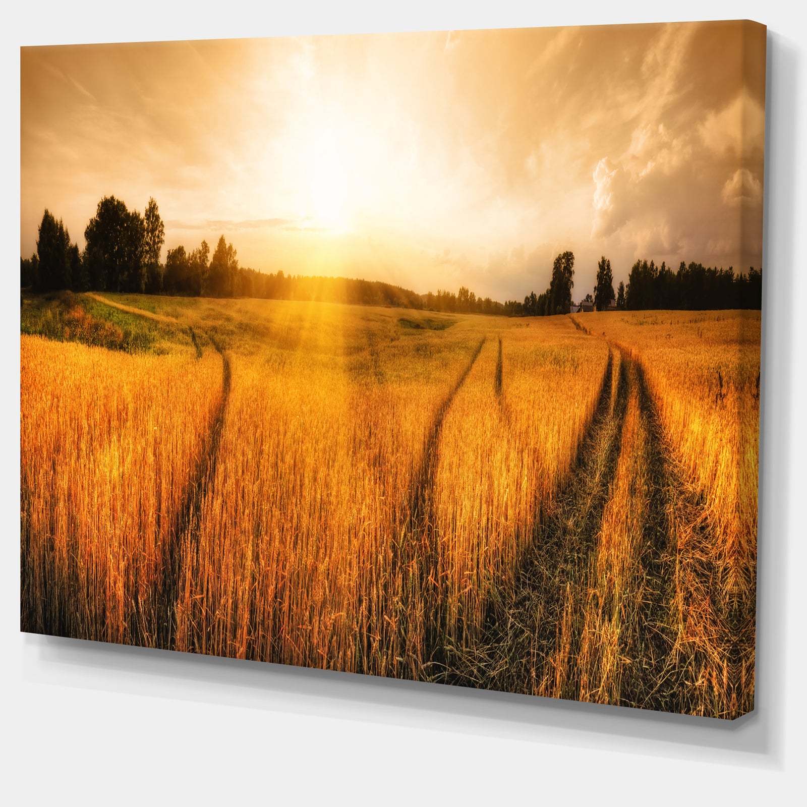 Wheat Field at Sunset Panorama Photo Canvas Art Print