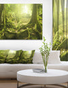 Green Forest with Sun - Landscape Photo Canvas Print