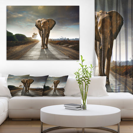 Single Walking Elephant - Photography Canvas Art Print