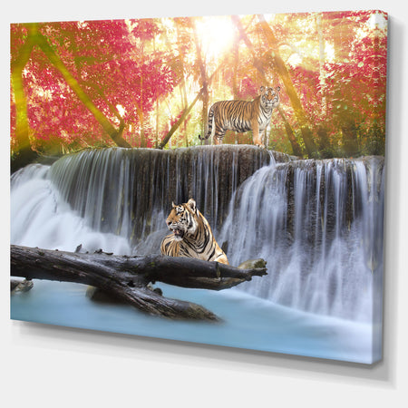 Tiger in the Jungle - Photography Canvas Art Print