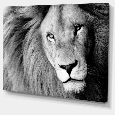 Lion Head in Grey - Animal Digital Art Canvas Print