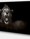 Lion Displaying Fiery Face - Animal Digital Art Canvas Print