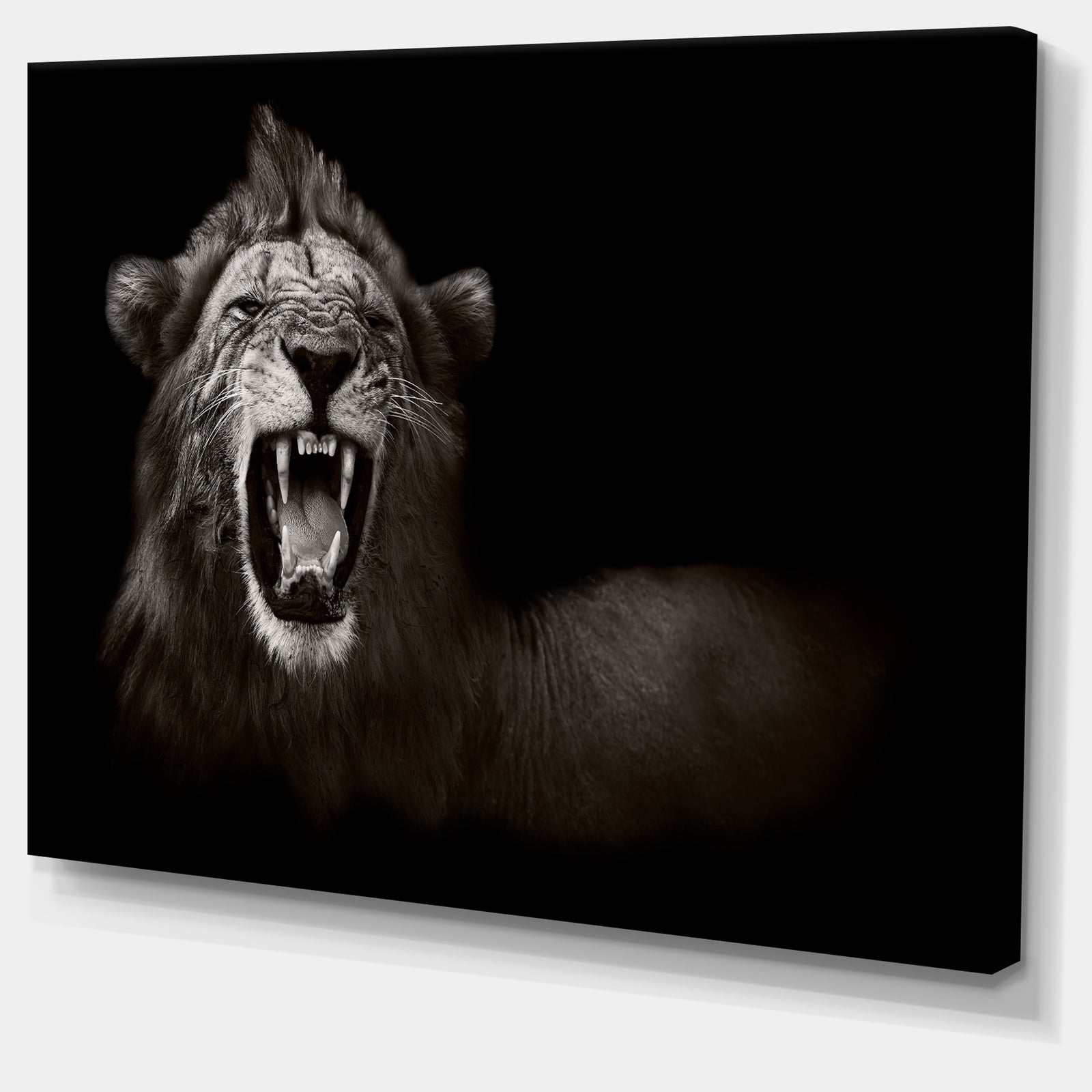 Lion Displaying Fiery Face - Animal Digital Art Canvas Print