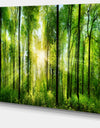 Forest with Rays of Sun Panorama - Landscape Art Print Canvas