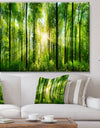 Forest with Rays of Sun Panorama - Landscape Art Print Canvas