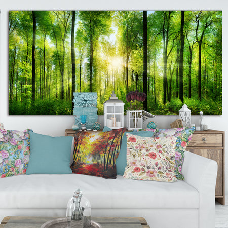 Forest with Rays of Sun Panorama - Landscape Art Print Canvas
