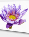 Hand'drawn Purple Lotus - Floral Art Canvas Print