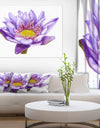 Hand'drawn Purple Lotus - Floral Art Canvas Print