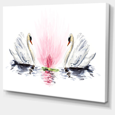 Floating Swans on White Background - Animal Canvas Art Print