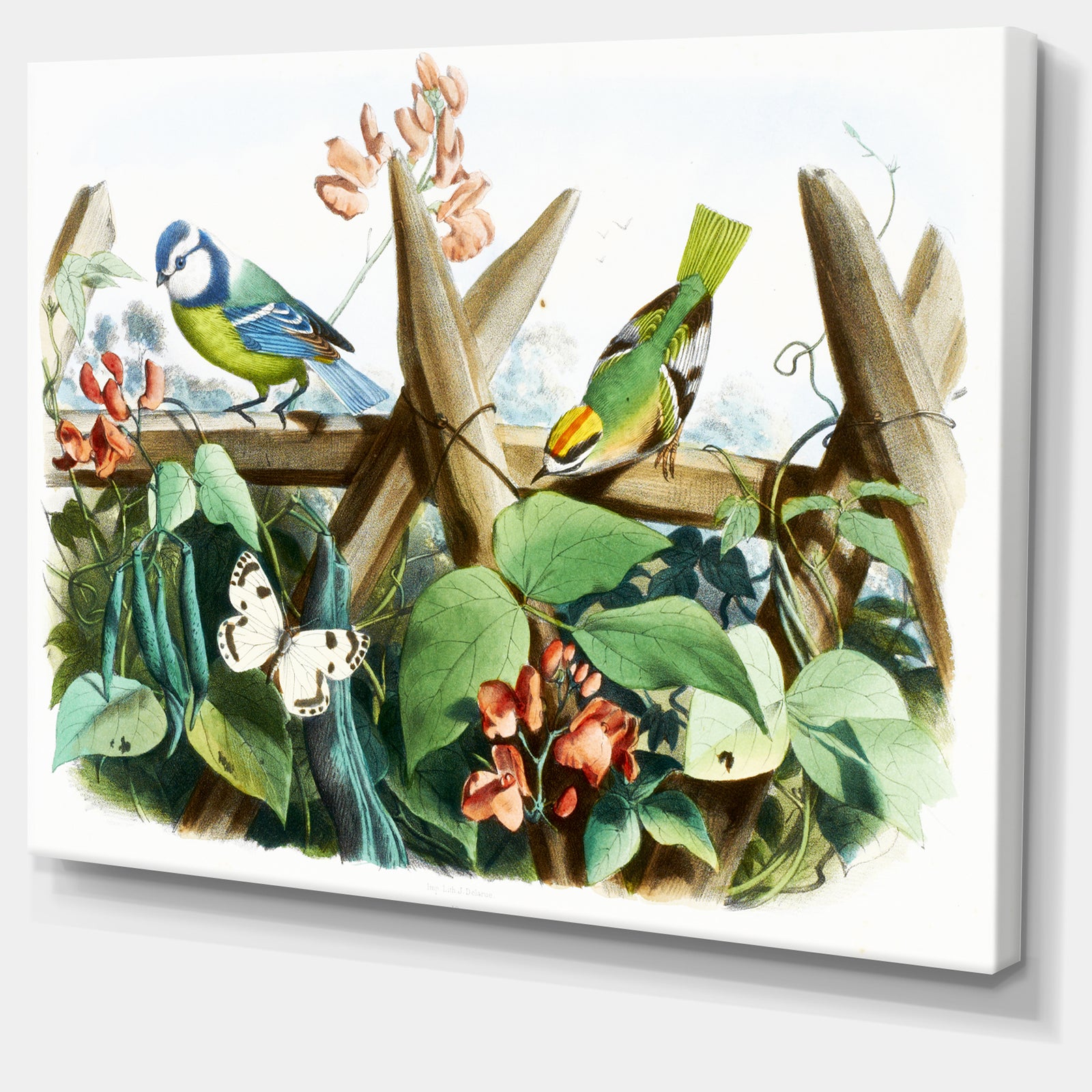 Colorful Birds Sitting on Branches - Animal Canvas Art Print