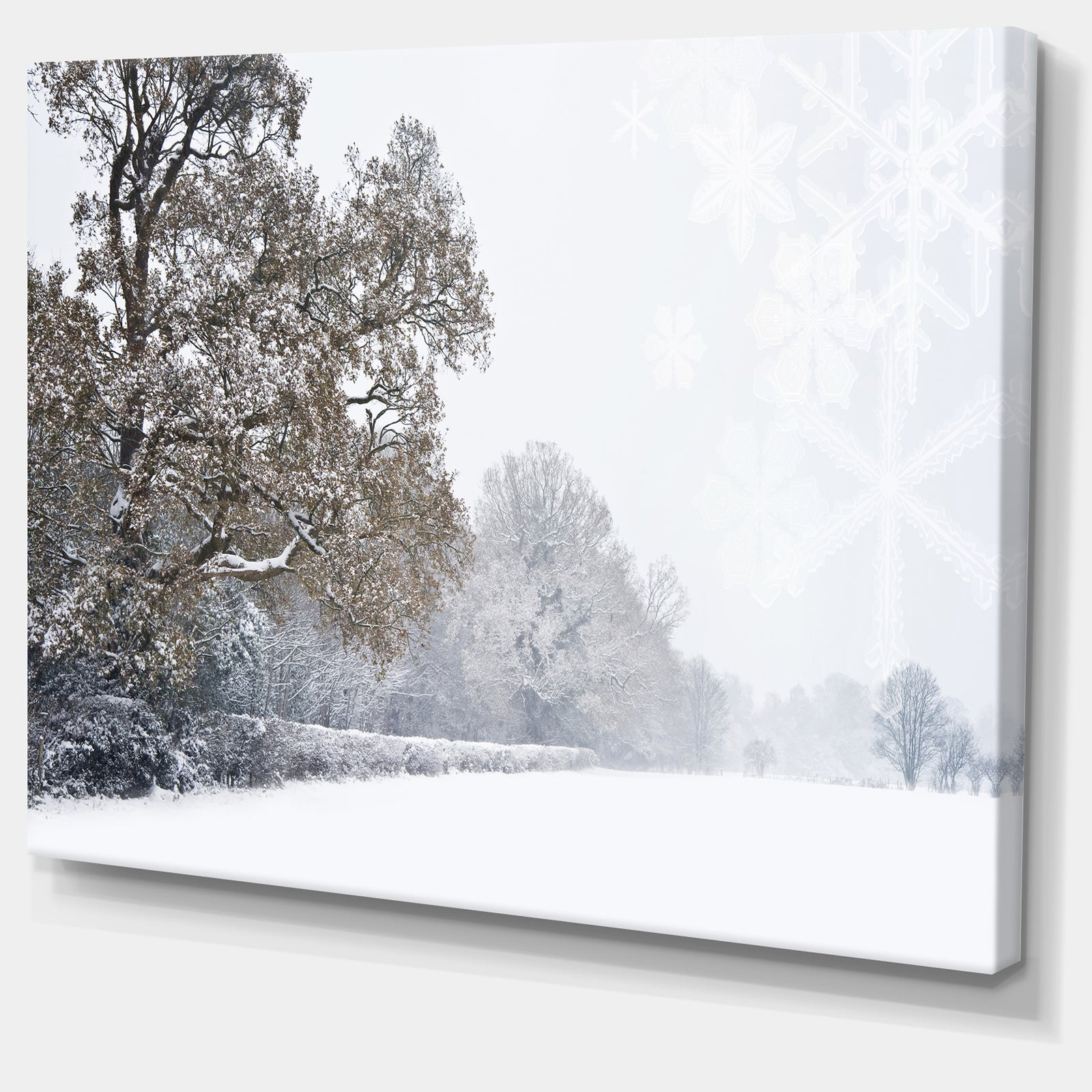 Christmas Winter Snow - Landscape Photo Canvas Print