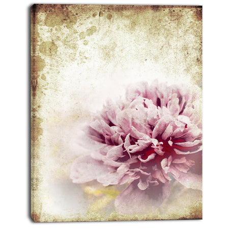 Pink Peony in Vintage Style - Floral Art Canvas Print