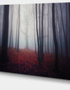 Dark Spooky Misty Forest - Landscape Photo Canvas Art Print