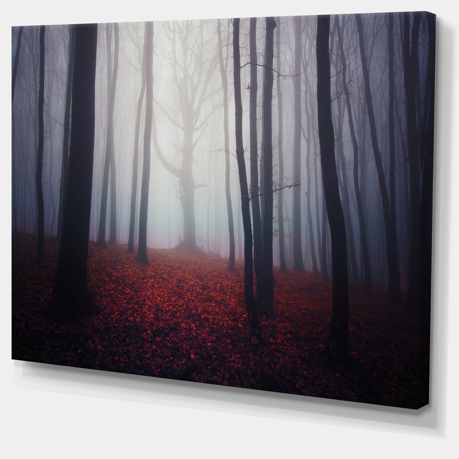Dark Spooky Misty Forest - Landscape Photo Canvas Art Print