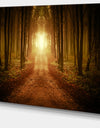 Road in Symmetrical Forest - Landscape Photo Canvas Print