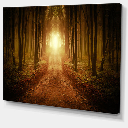 Road in Symmetrical Forest - Landscape Photo Canvas Print