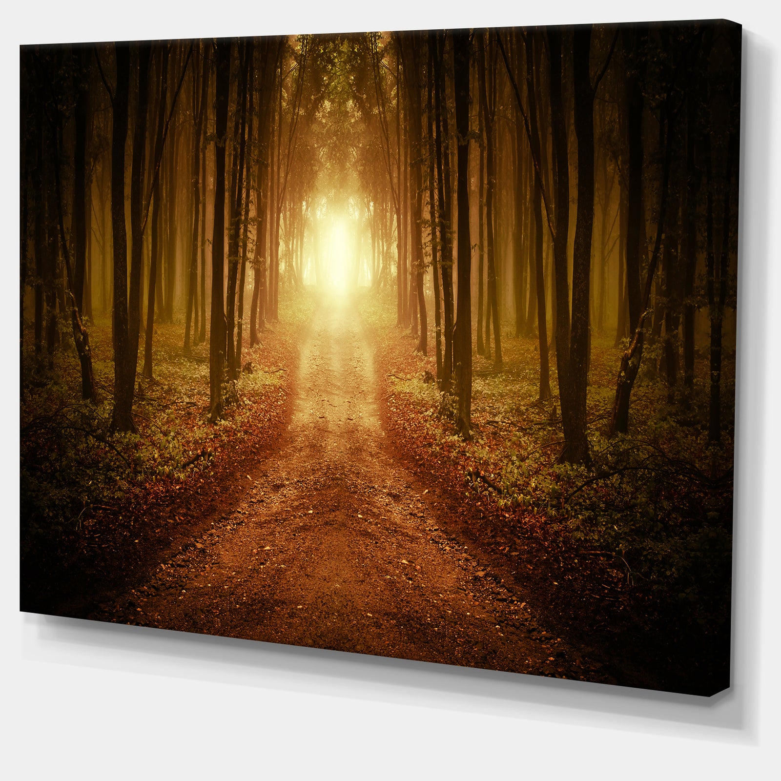 Road in Symmetrical Forest - Landscape Photo Canvas Print